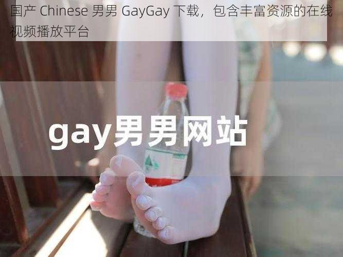 国产 Chinese 男男 GayGay 下载，包含丰富资源的在线视频播放平台