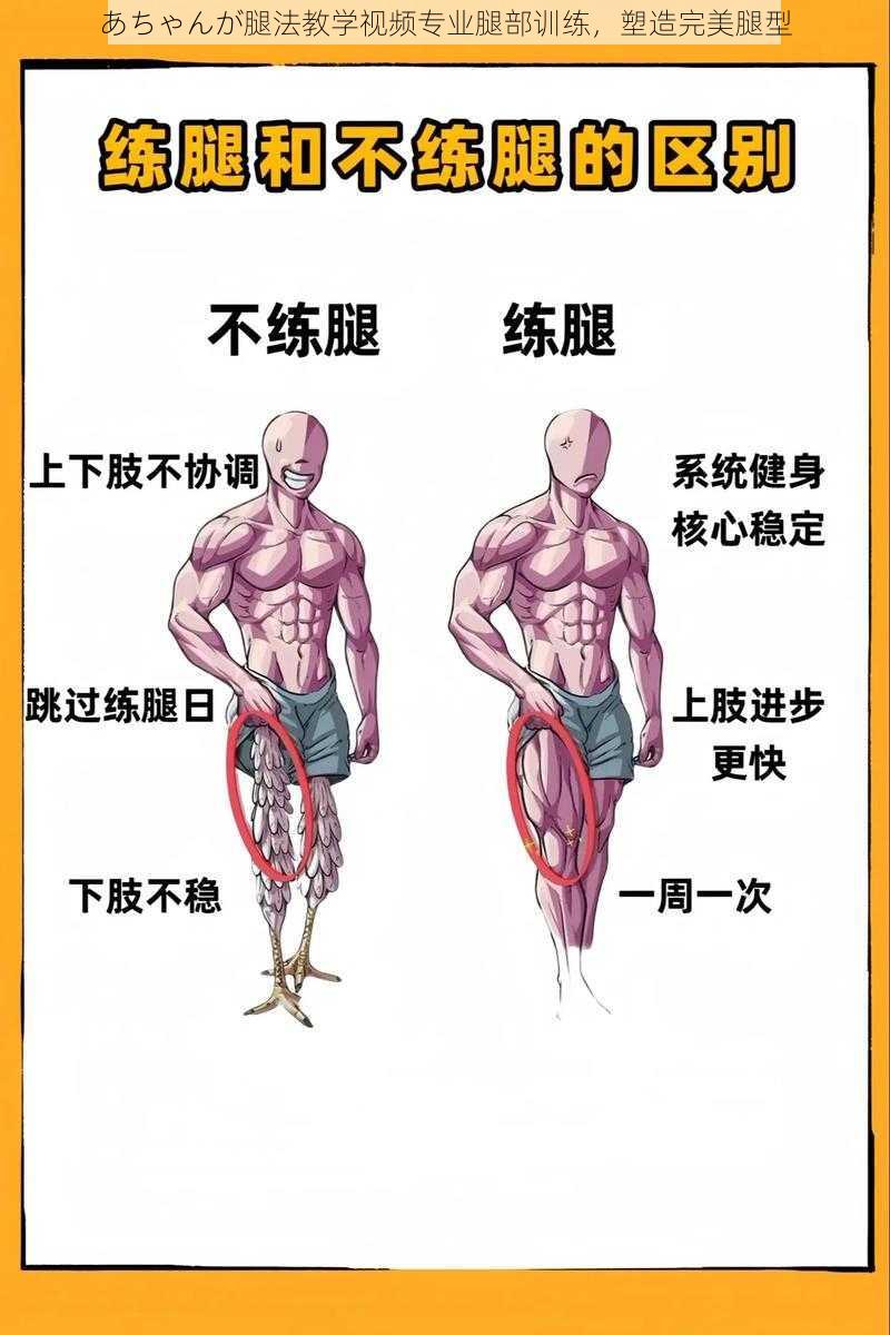 あちゃんが腿法教学视频专业腿部训练，塑造完美腿型