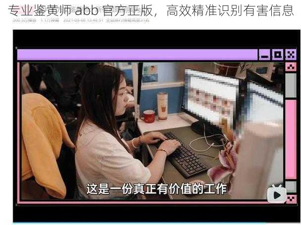 专业鉴黄师 abb 官方正版，高效精准识别有害信息