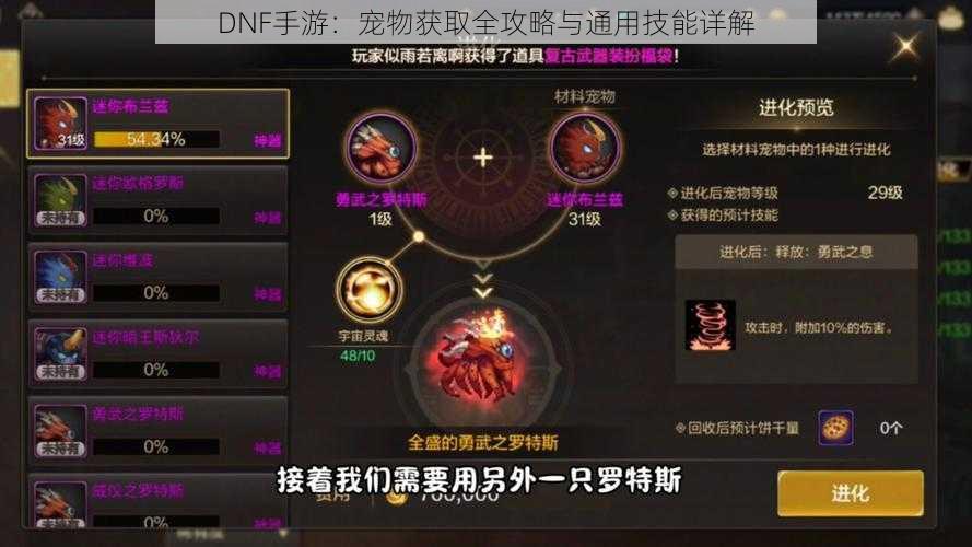 DNF手游：宠物获取全攻略与通用技能详解