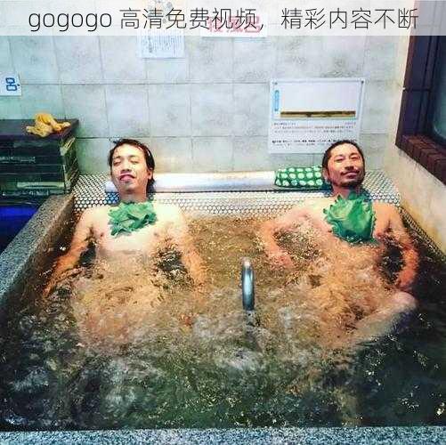 gogogo 高清免费视频，精彩内容不断