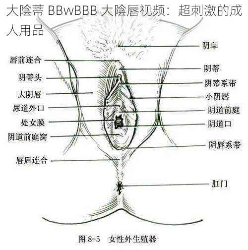 大陰蒂 BBwBBB 大陰唇视频：超刺激的成人用品