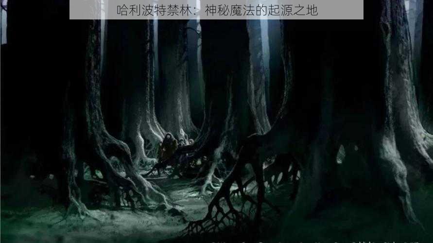 哈利波特禁林：神秘魔法的起源之地