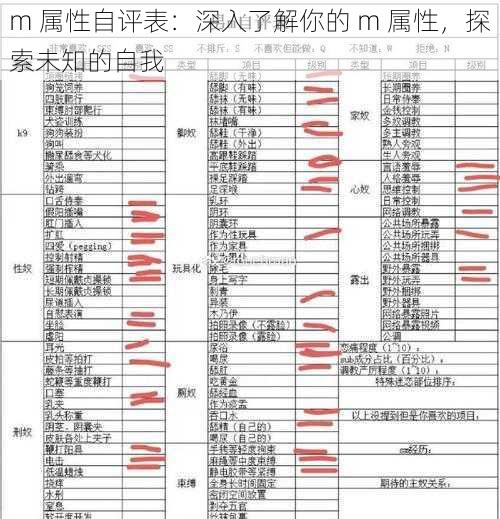 m 属性自评表：深入了解你的 m 属性，探索未知的自我