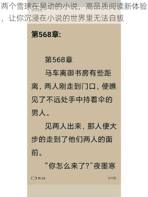 两个雪球在晃动的小说，高品质阅读新体验，让你沉浸在小说的世界里无法自拔