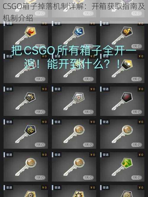 CSGO箱子掉落机制详解：开箱获取指南及机制介绍