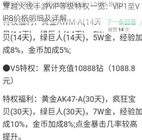 穿越火线手游VIP等级特权一览：VIP1至VIP8价格明细及详解