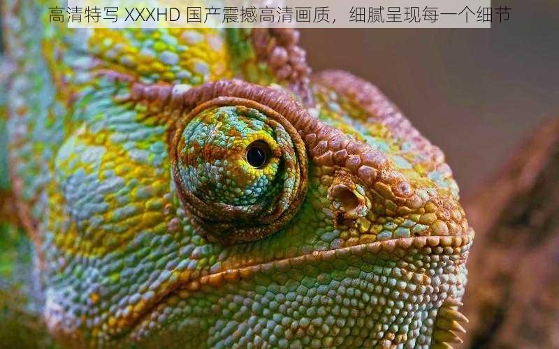 高清特写 XXXHD 国产震撼高清画质，细腻呈现每一个细节