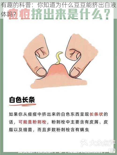 有趣的科普：你知道为什么豆豆能挤出白液体吗？