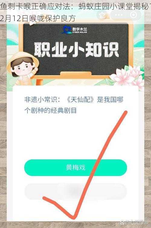 鱼刺卡喉正确应对法：蚂蚁庄园小课堂揭秘12月12日喉咙保护良方