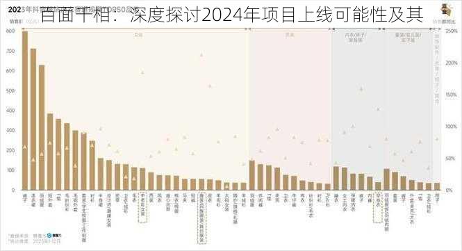 百面千相：深度探讨2024年项目上线可能性及其