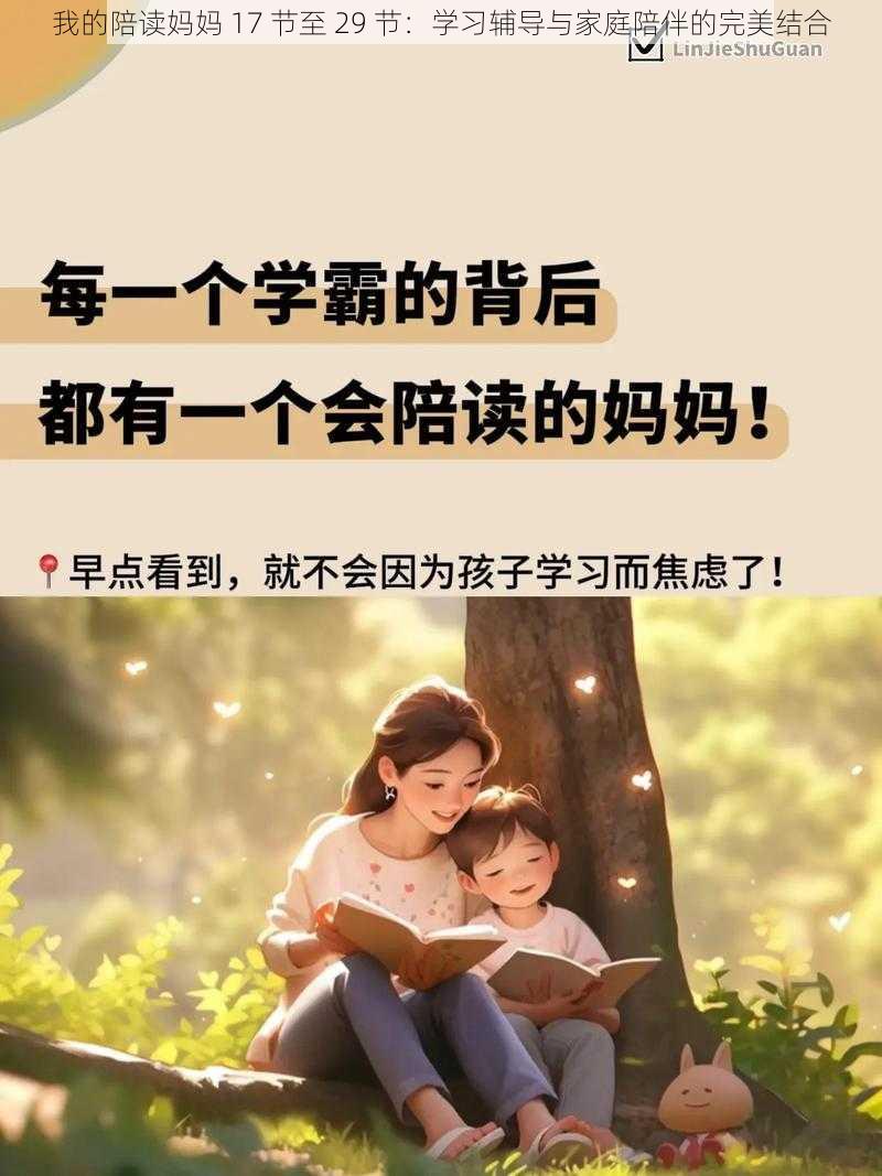 我的陪读妈妈 17 节至 29 节：学习辅导与家庭陪伴的完美结合