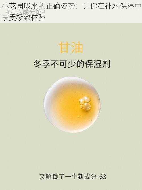 小花园吸水的正确姿势：让你在补水保湿中享受极致体验