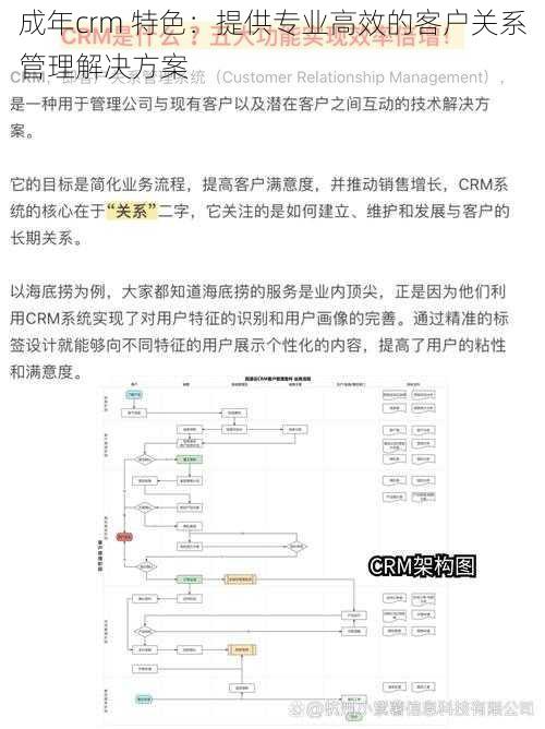 成年crm 特色：提供专业高效的客户关系管理解决方案