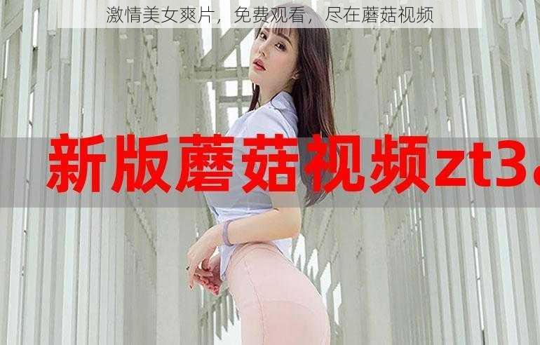 激情美女爽片，免费观看，尽在蘑菇视频