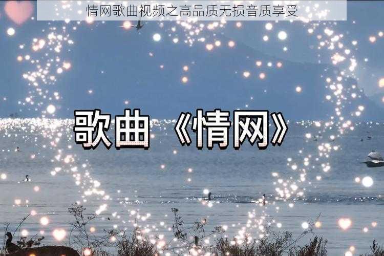 情网歌曲视频之高品质无损音质享受