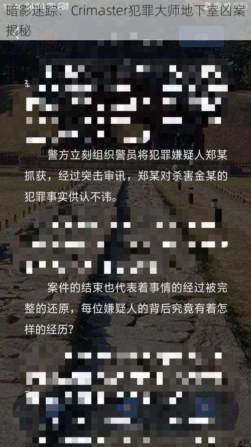 暗影迷踪：Crimaster犯罪大师地下室凶案揭秘