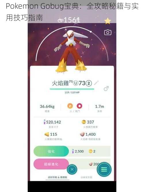 Pokemon Gobug宝典：全攻略秘籍与实用技巧指南